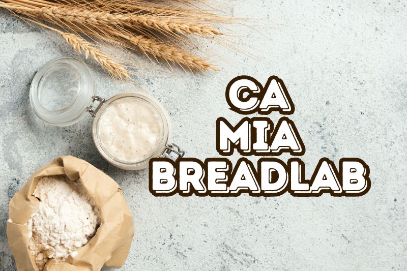 Original Ca Mia Breadlab Inspiration Recipe