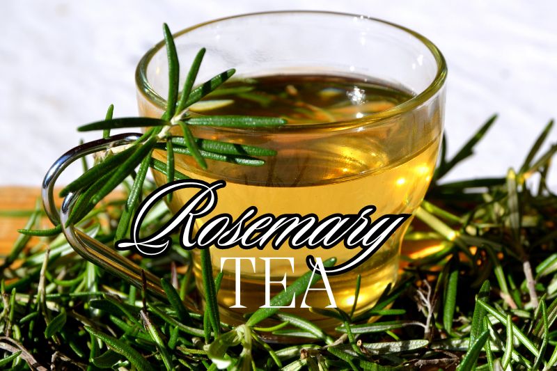 Preparing Rosemary Tea