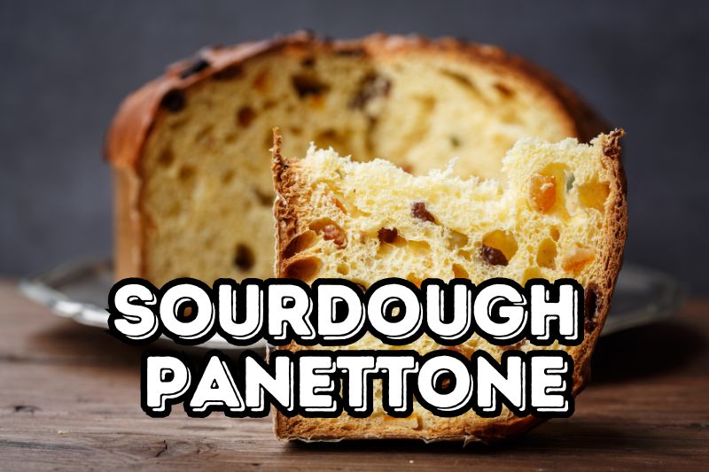Sourdough Panettone With Chocolate Chips